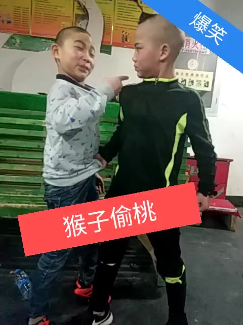 猴子偷桃,爆笑,